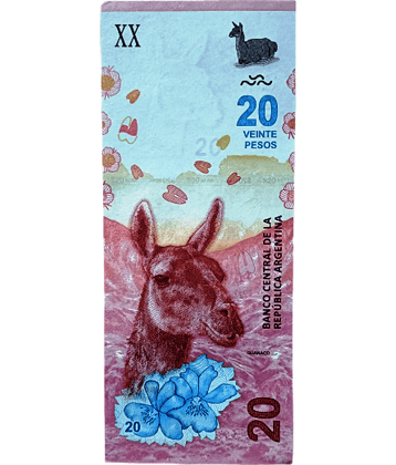 SUPER ANTIQUES GALLERY - ARGENTINA 20 PESOS NOTE IN TOP GRADE 1 Paper currency & Bank notes