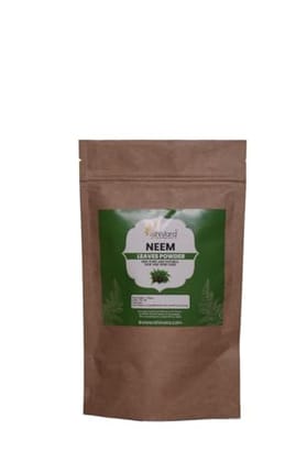 Ishivara Neem Leaves Powder for Skin and Hair | Anti-Pimple and Anti-Bacterial | Chemical Free Hair Cleanser For Healthy Hair and Skin 100Gm (pack of 1)