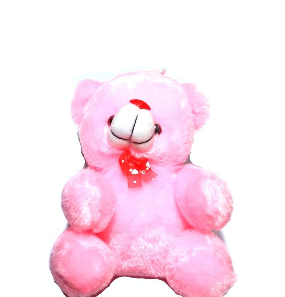 Nawani Gift Gallery Teddy Bear for Kids, Size 20/15 cm