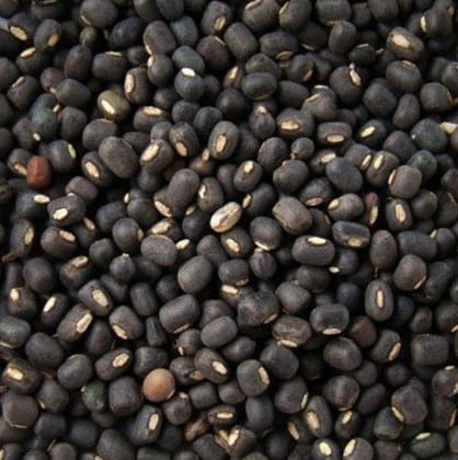 Nf urad sabut black 500G