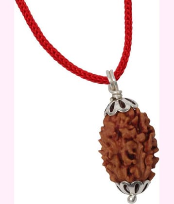 Astrodidi 3 Mukhi Rudraksha Pendant With Lab Certificate