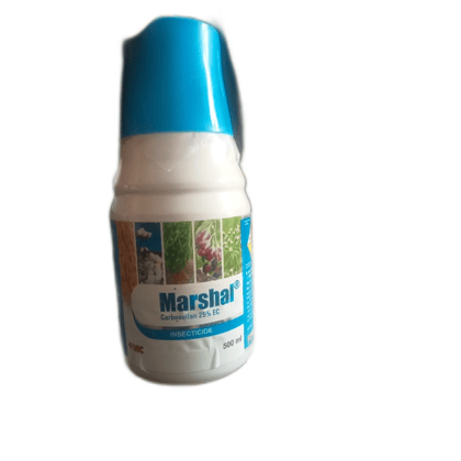 Marshal - 500 mL