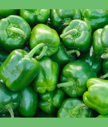 Jignisha Seeds Hybrid Green Chilli Vegetable ( 50 Seeds )