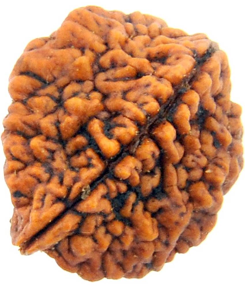 GCMR Wood Idol