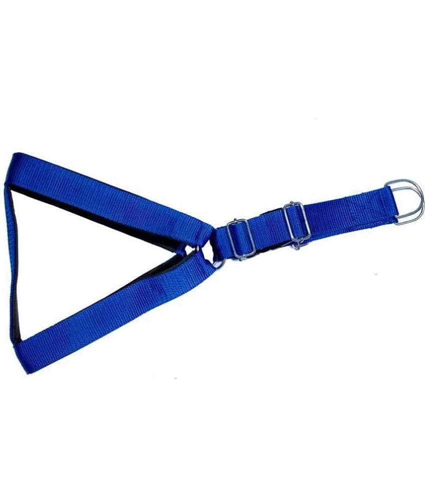Tame Love Padded Harness and Leash for Adult Dogs of All Breeds (Blue Color - 1.25 inches)