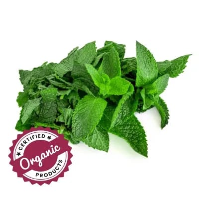 Organic Mint (Without Roots)