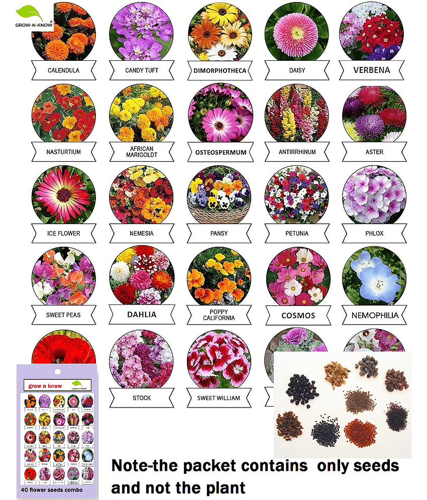 40 type of summer and winter flower seeds 2000 seeds combo