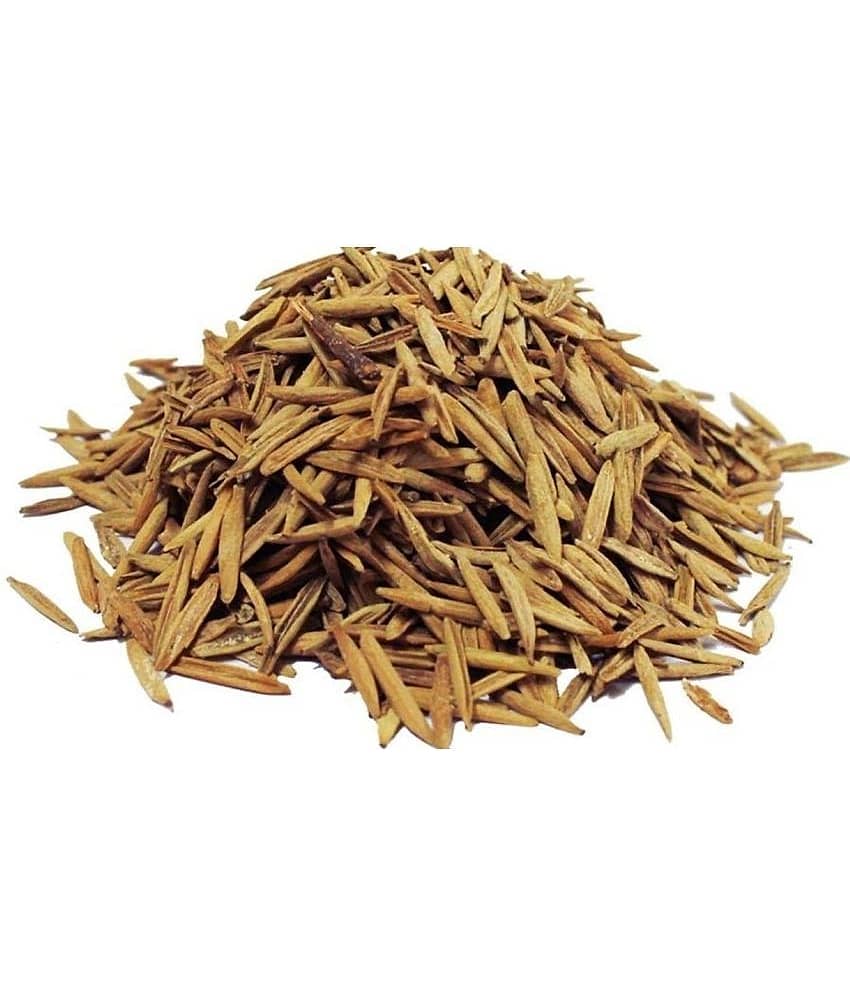 MYGODGIFT Indrajav - Indrajau - Indrajav Seeds(Kadwa)-Holarrhena Pubescens 100 gm