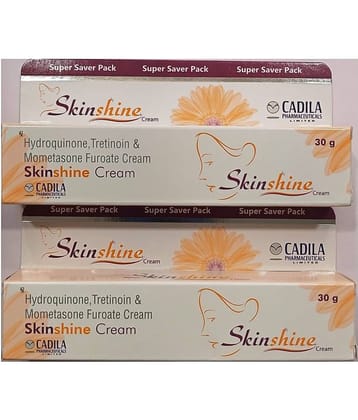 SKINSHINE 30 GM ( PACK OF 2) Night Cream 60 gm Pack of 2