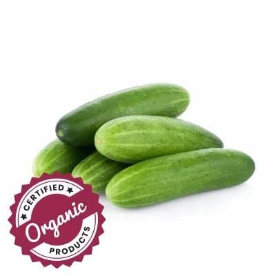 Organic Cucumber - Hybrid (Kheera)