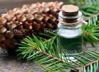 Fir Needle Hydrosol