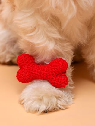 Bulk Bone Crochet Pet Rakhi - Red-Pack of 10