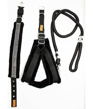 Petshop7 - Black Dog Combo (Medium)