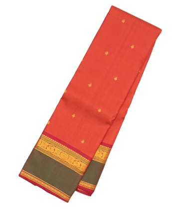 Orange Handloom Kanchipuram Silk Saree With Butterfly Buttas-Orange