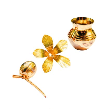 MAYAPURI Pure Brass Kalash with Coconut and Mango Leaf for Daily Pooja, Original Pital Kalash, Daab and Aam Patta Leave, Size; Small (Combo Pack) MAYAPURI Pure Brass Kalash with Coconut and Mango Leaf for Daily Pooja, Original Pital Kalash, Daab and Aam Patta Leave, Size; Small (Combo Pack)
