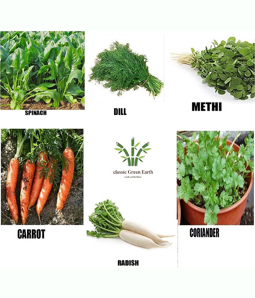CLASSIC GREEN EARTH - Vegetable Seeds ( combo 6 seeds 500palak dill methi carrot methi )
