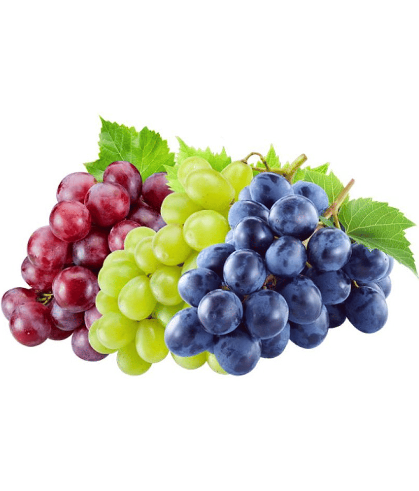 alkarty grapes combo of three colors grapes Seeds Of Fruits 20 seeds