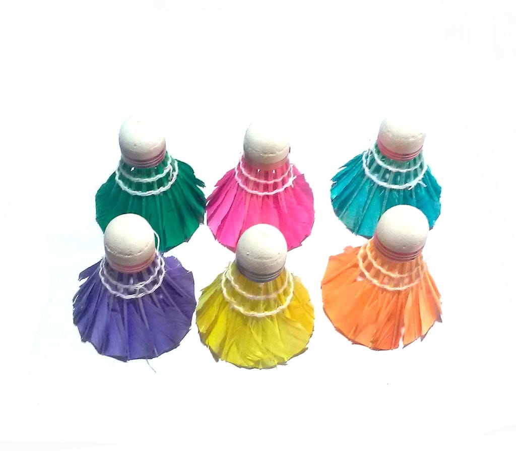 Nawani 6 pcs Badminton shuttlecocks - Sports and Fitness Equipment | Buy online on ZillyBuy