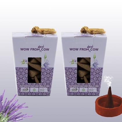 Nandi Panchgavya 100 Percent Cow Dung Lavender Dhoop Cones (100 Pcs) with Stand