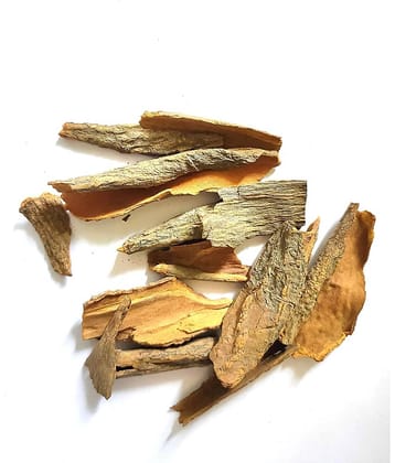 Nutrixia Food CINCONA BARK SINKONA BARK सिंचोना छल Cinchona Bark 100 gm