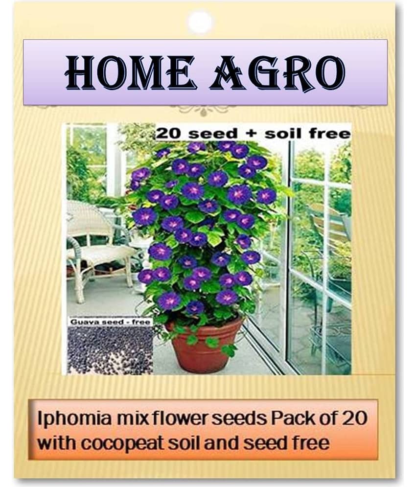 homeagro - Flower Seeds ( 20 )