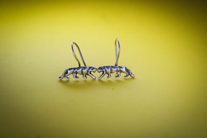 Stunning Earrings