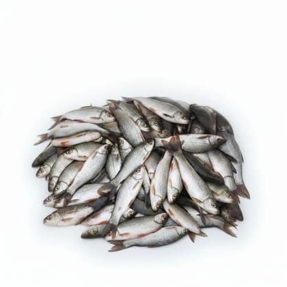 Fresh White Fish - 1 kg - 1kg pack of assorted fresh white fish