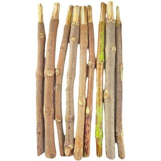 (Pack of 10) Sahada Tree Twigs Natural Organic Sand Paper Tree Sticks/Siamese Rough Bush/Toothbrush Tree Twigs/Dantun Daant Sticks Chew Sticks for Brushing Teeth | Removes Bad Breath