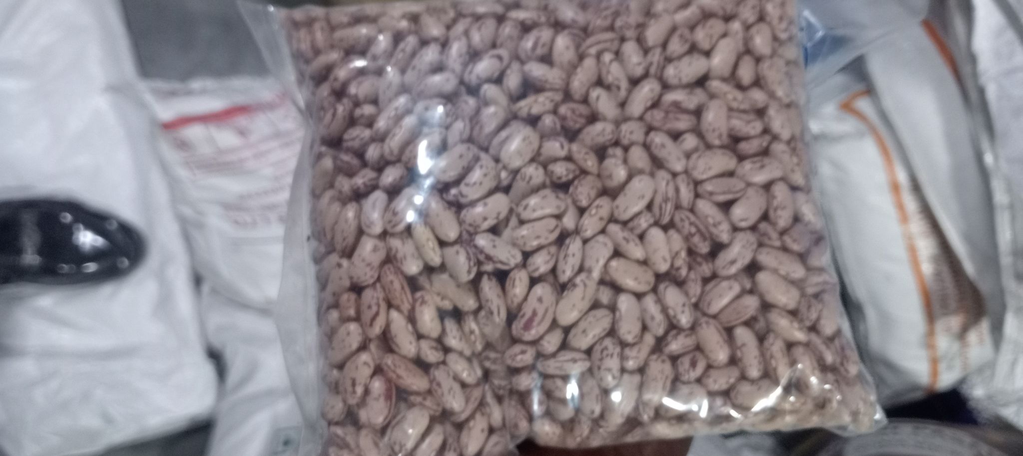 Rajma 
