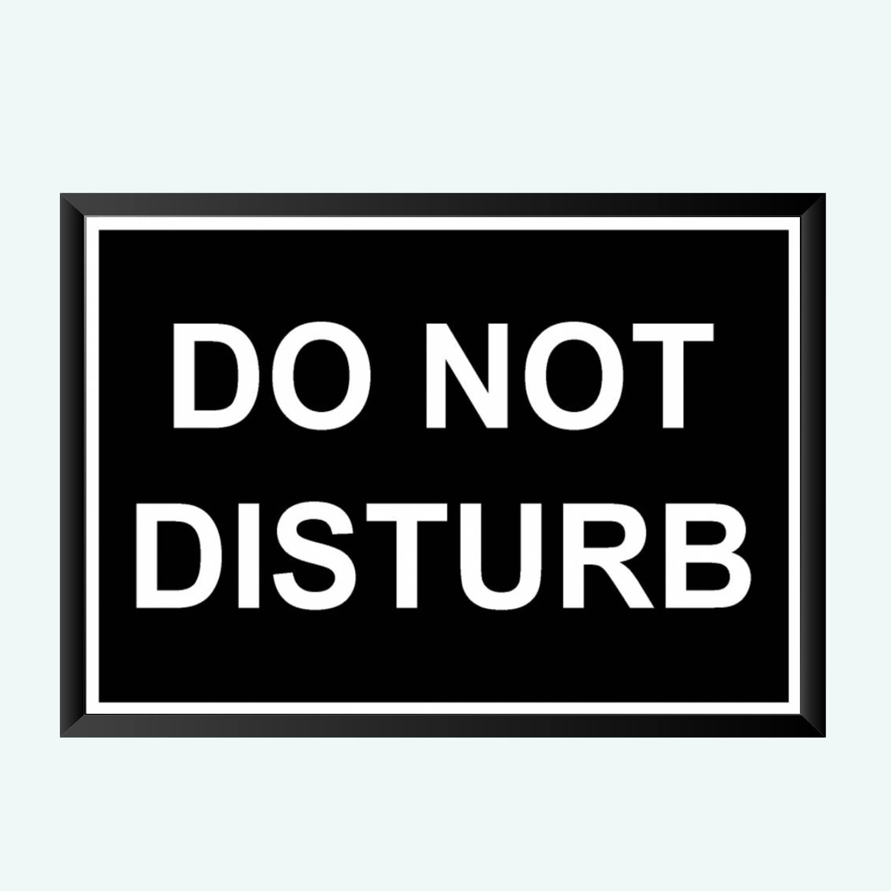 NOKKES Do Not Disturb Wall Photo Frame For India Love And Wall Decoration Wall Photo Frame Size 8X12 Inch_13