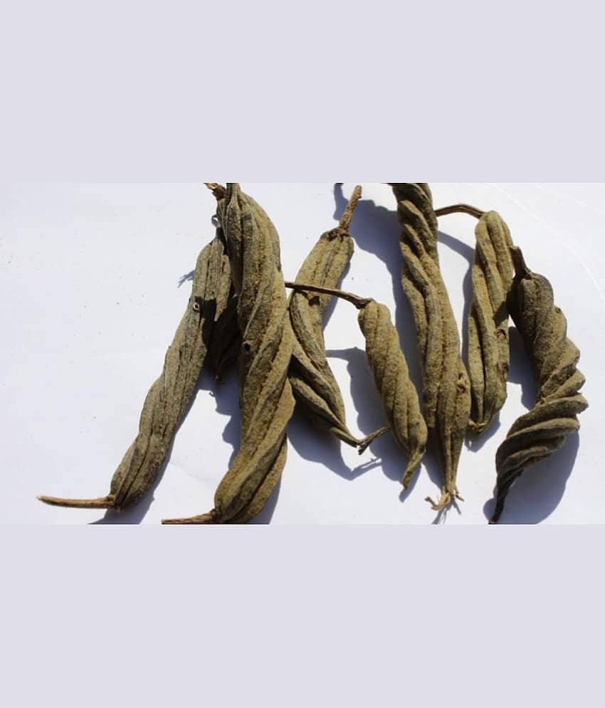 Nutrixia Food Marood Fali-Marod Phali-Helicteres Isora-Avartini -Bhura-Lalparnni 100 gm