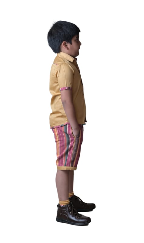 ... ...