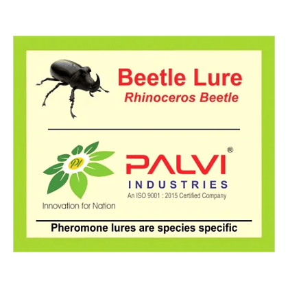 Rhinoceros beetle  by Palvi industries