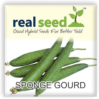 Sponge Gourd Hybrid Vegetable Seeds
