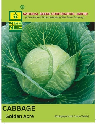 NSC Cabbage Golden Acre, 5gm