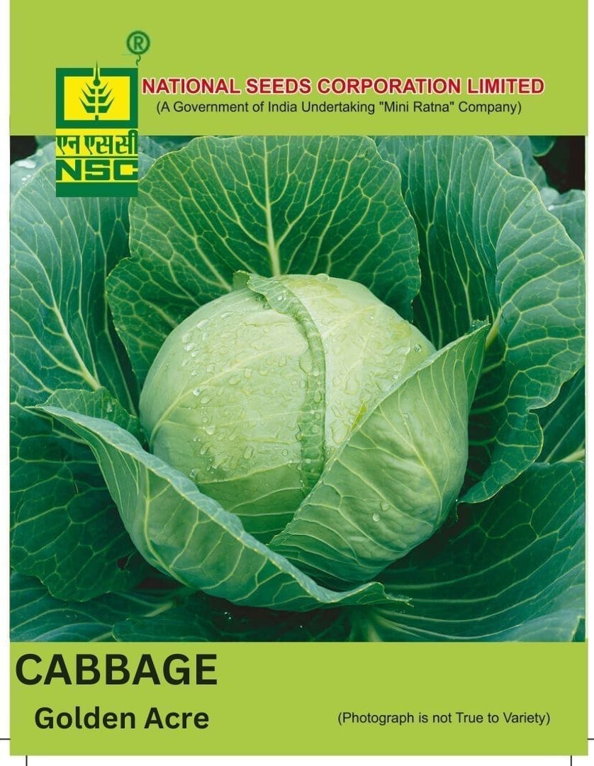 NSC Cabbage Golden Acre, 5gm