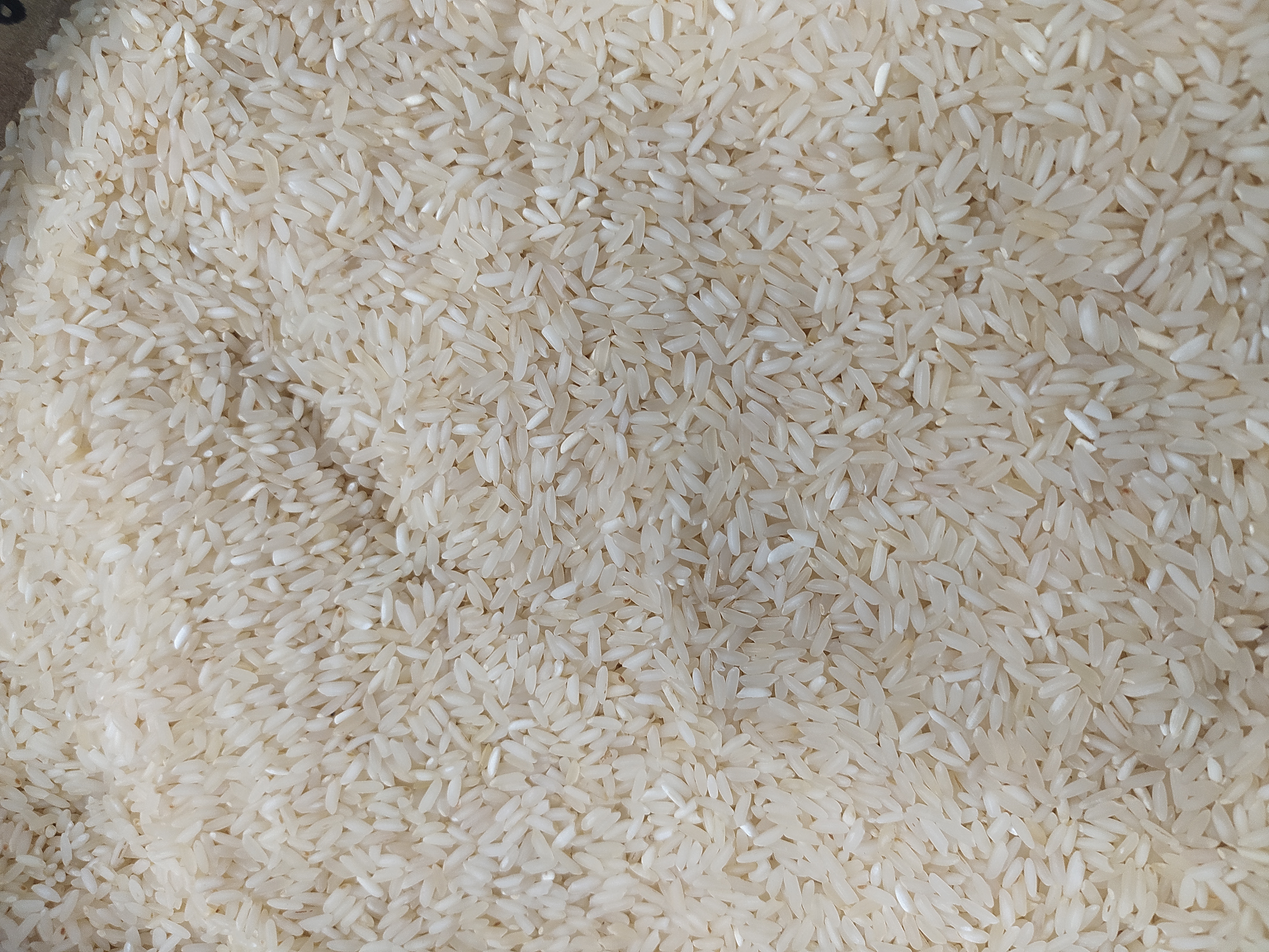 sona mansoori rice
