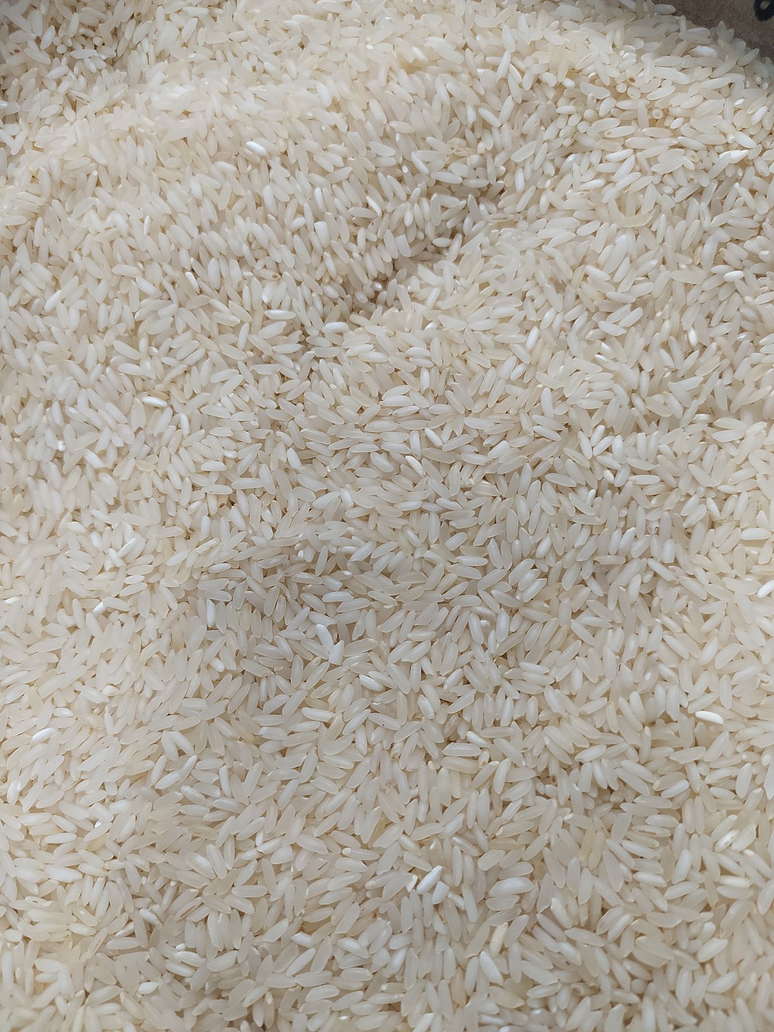 sona mansoori rice