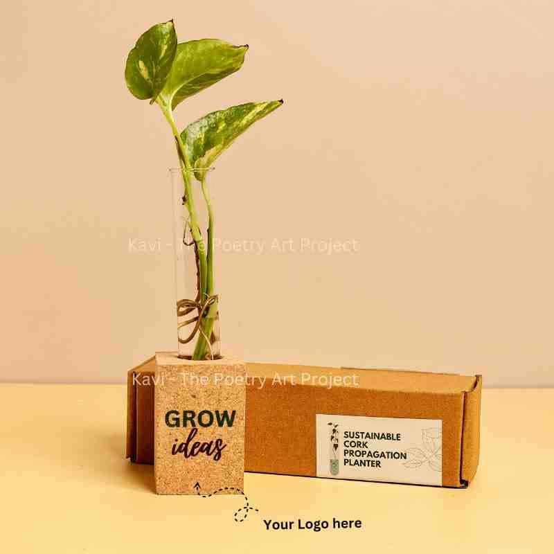 Customised Cork Magnetic Planter-10