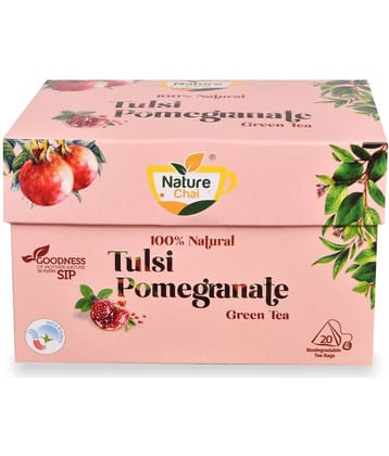 NATURE CHAI Tulsi Tea Bags 100 gm