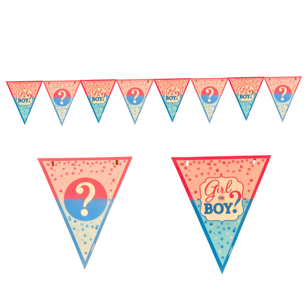 Girl or Boy Bunting Banner - Over 15FT - Party and Festive Needs | Buy online on ZillyBuy