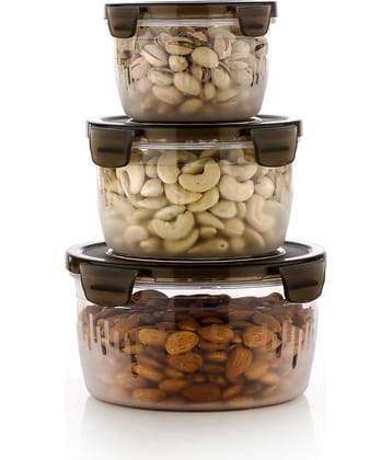 Dark Sun Kitchenware Fruit/Food/Vegetable Plastic Brown Multi-Purpose Container ( Set of 3 )