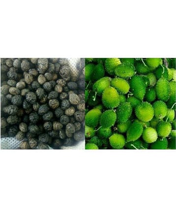 Kantola (teasle gourd) | Pack of 20 Seeds