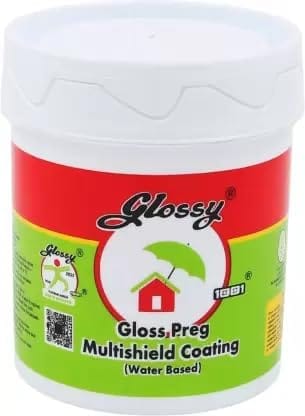 1001 Glossy Gloss Preg Multishield Coating | Water Based | Protection From Fungus and Algae Clear Functional Wall Paint (1 Ltr)