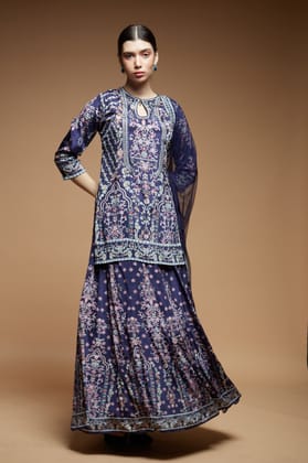 Blue Color Lehenga-XS