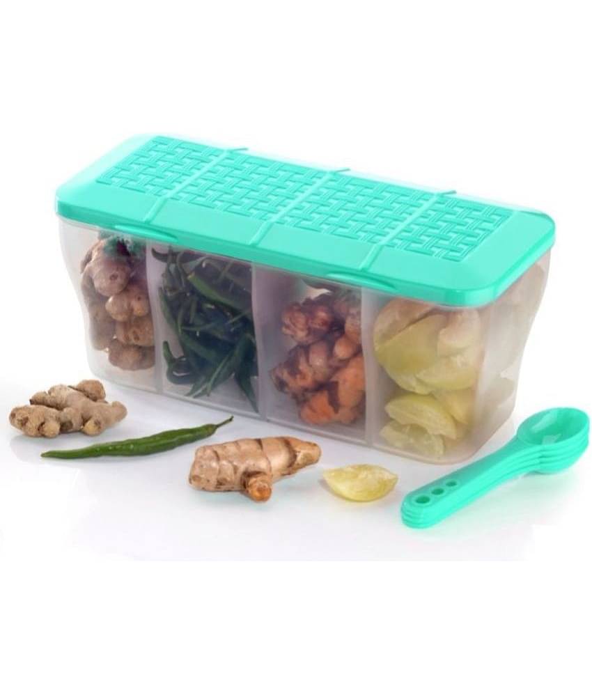 MAGICSPOON Fridge Container Plastic Turquoise Multi-Purpose Container ( Set of 1 )
