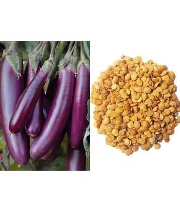 F1 Hybrid Brinjal Long | High Quality Seeds | Pack of 100 Seeds