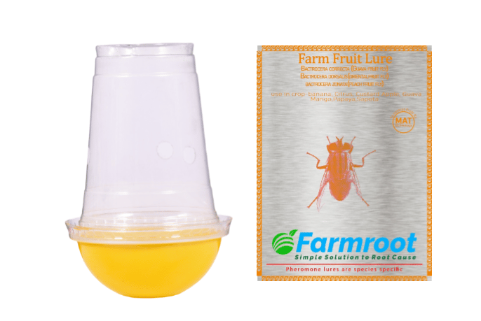 FARM FRUIT LURE WITH FLY TRAP (PACK OF 10)