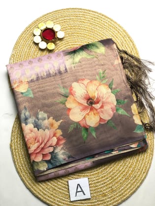 ORGANZA TISSUE SAREE