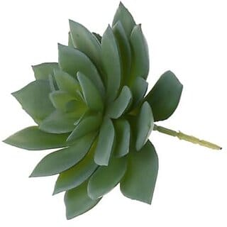 De Gardenia 4 Pc Succulent Heads Small Mini Plants Exquisite Faux Plant Add Charm to Your Home Perfect for Gifting Office Decor Farmhouse and Office Desk Withouth Pot